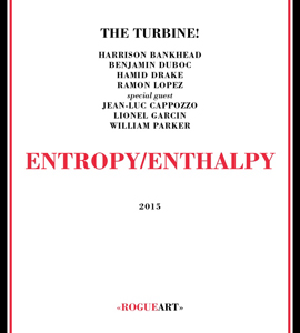The Turbine! "Entropy/Enthalpy" (Rogue Art) Benjamin Duboc, Harrison Bankhead, Hamid Drake, Ramon Lopez, Jean-Luc Capozzo, Lionel Garcin, William Parker